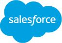SalesForce by Flashnode logo