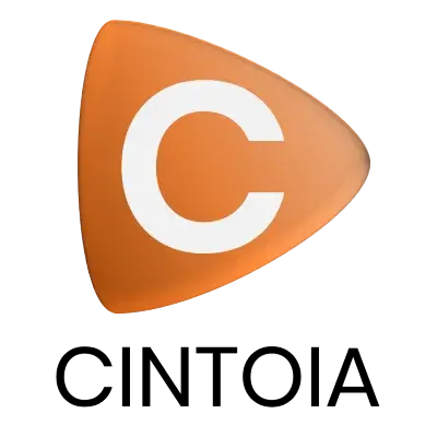 Cintoia varausjärjestelmä logo